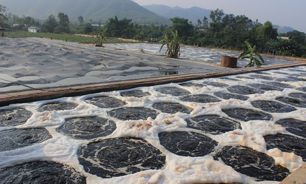 Các phương pháp xử lý bùn thải dạng lỏng phần 2