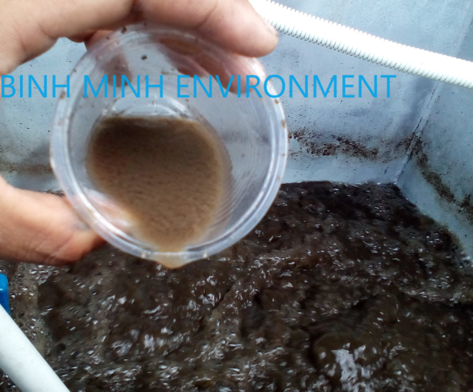Nuôi cấy vi sinh hệ thống xử lý nước thải tại Bình Thuận