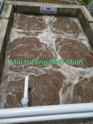 Nuôi cấy vi sinh hệ thống xử lý nước thải tại Nha Trang