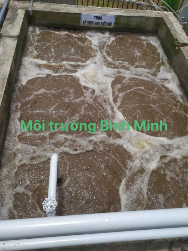Nuôi cấy vi sinh hệ thống xử lý nước thải tại Nha Trang