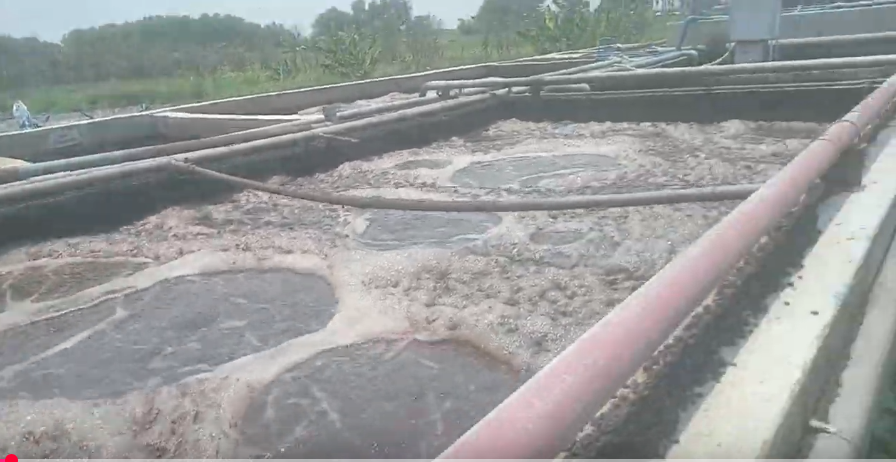 Nuôi cấy vi sinh hệ thống xử lý nước thải tại Khánh Hòa