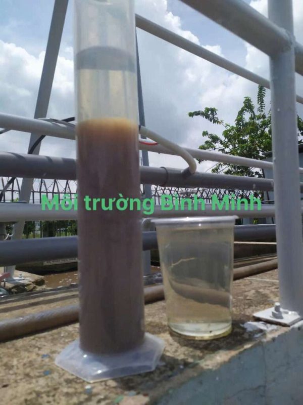 Nuôi cấy vi sinh xử lý nước thải tại Ninh Thuận