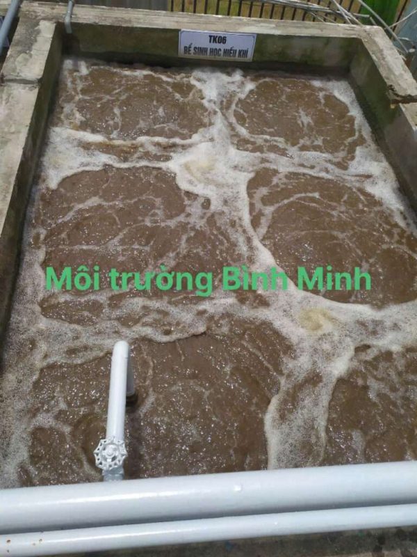 Công ty vận hành hệ thống xử lý nước thải ở Bình Phước